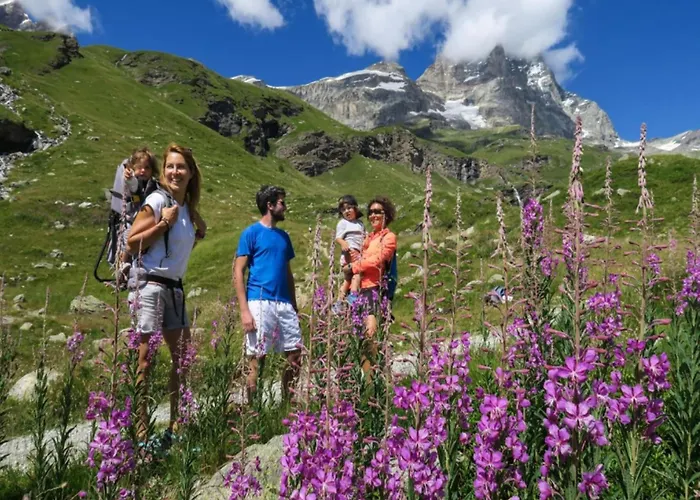 With Fireplace * Antey-Saint-André