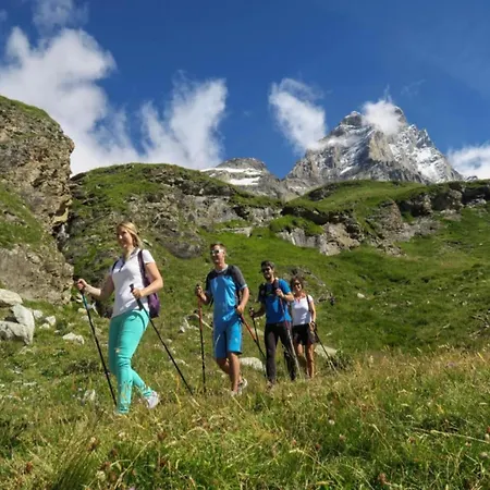 With Fireplace Lägenhet *