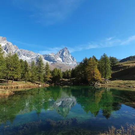 With Fireplace 아파트