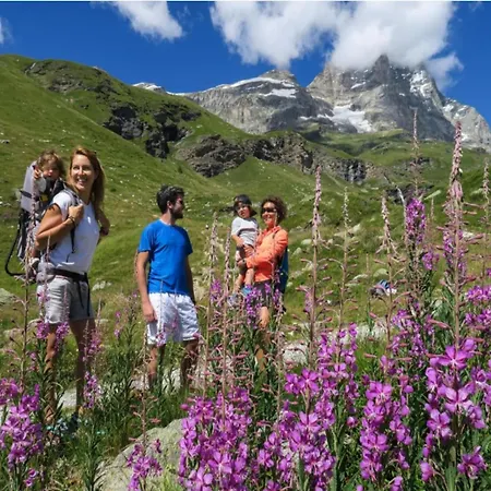 With Fireplace * Antey-Saint-André